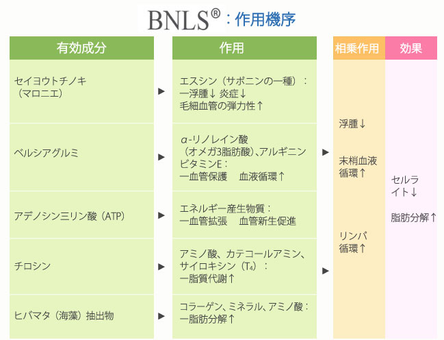 BNLS注射の作用機序